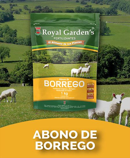 Abono de borrego