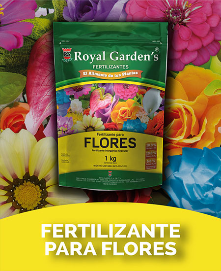 Fertilizante para flores