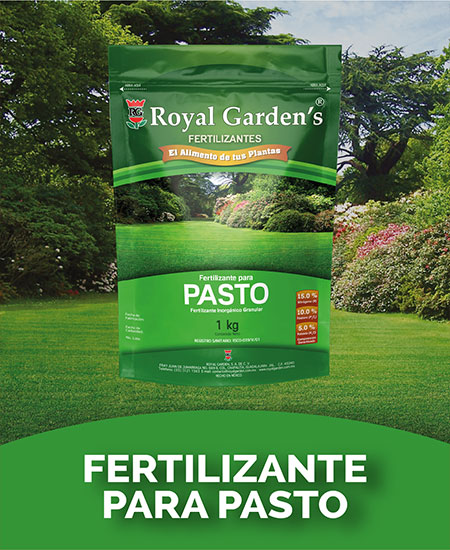 Fertilizante para pasto