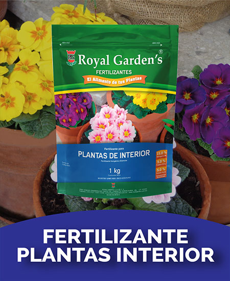 Fertilizante plantas interior