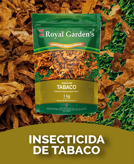 Insecticida de tabaco